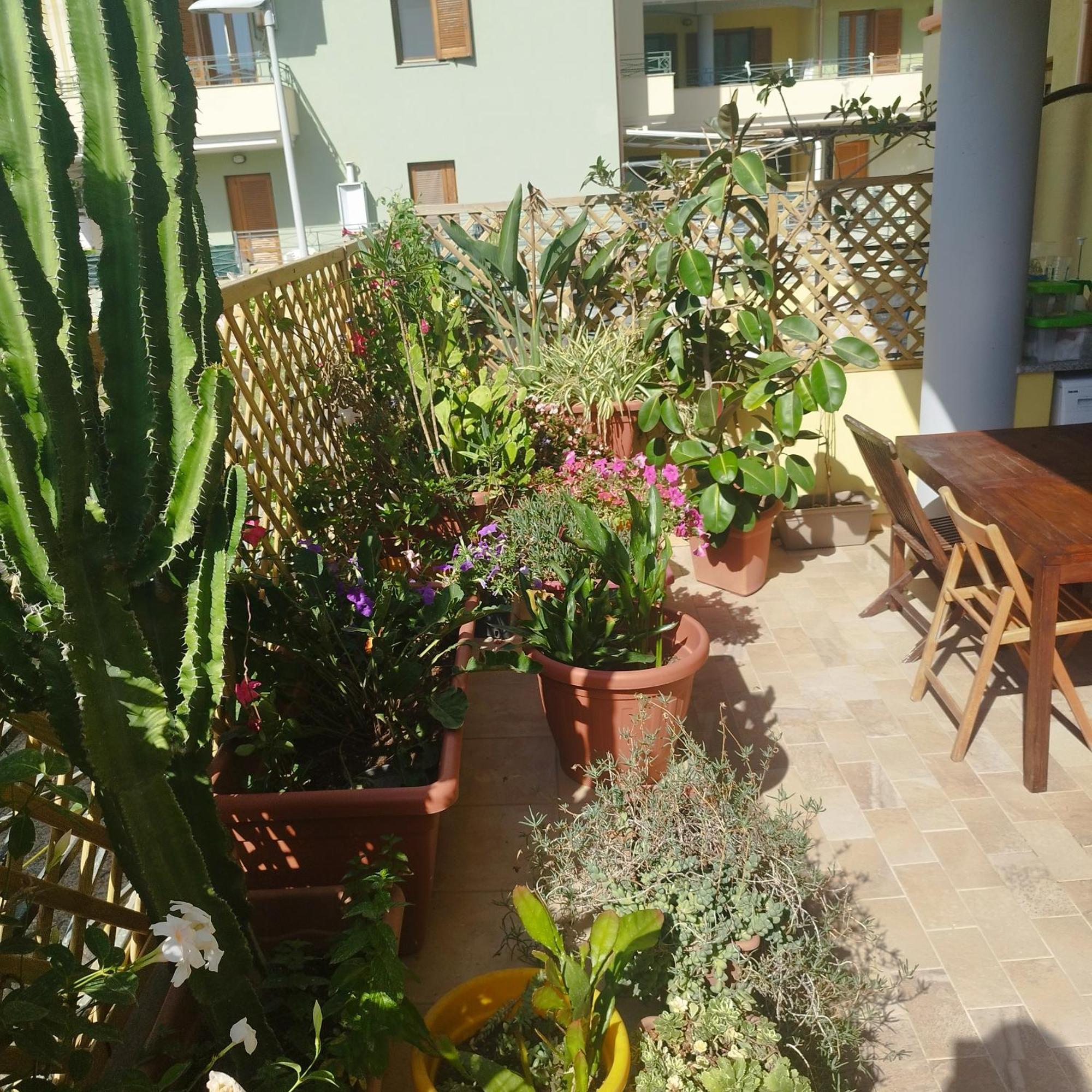 Alghero Lovely Flat Lejlighed Eksteriør billede